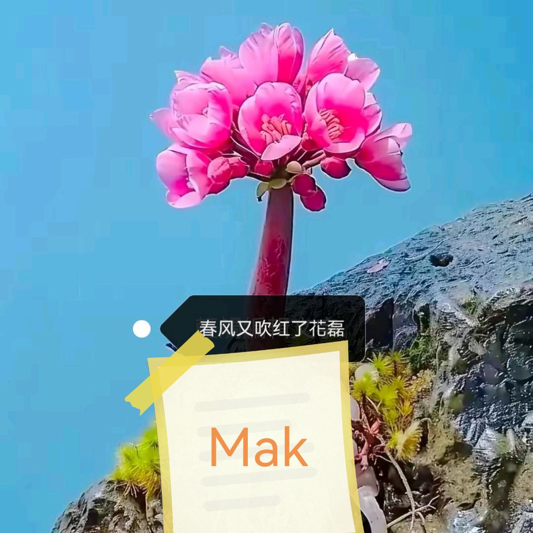 Mak