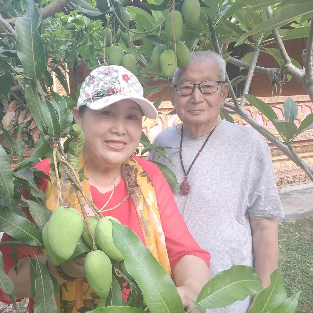 老俩口自驾旅行记