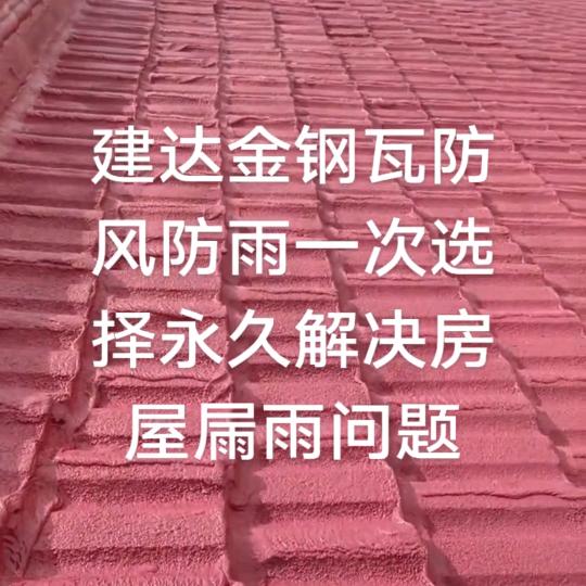 泊头健达金钢屋顶