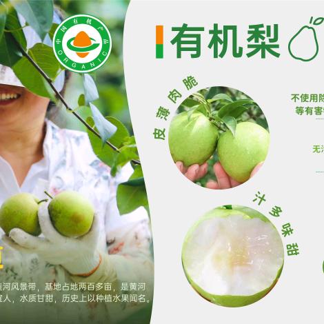 高家庄有机农业种植基地