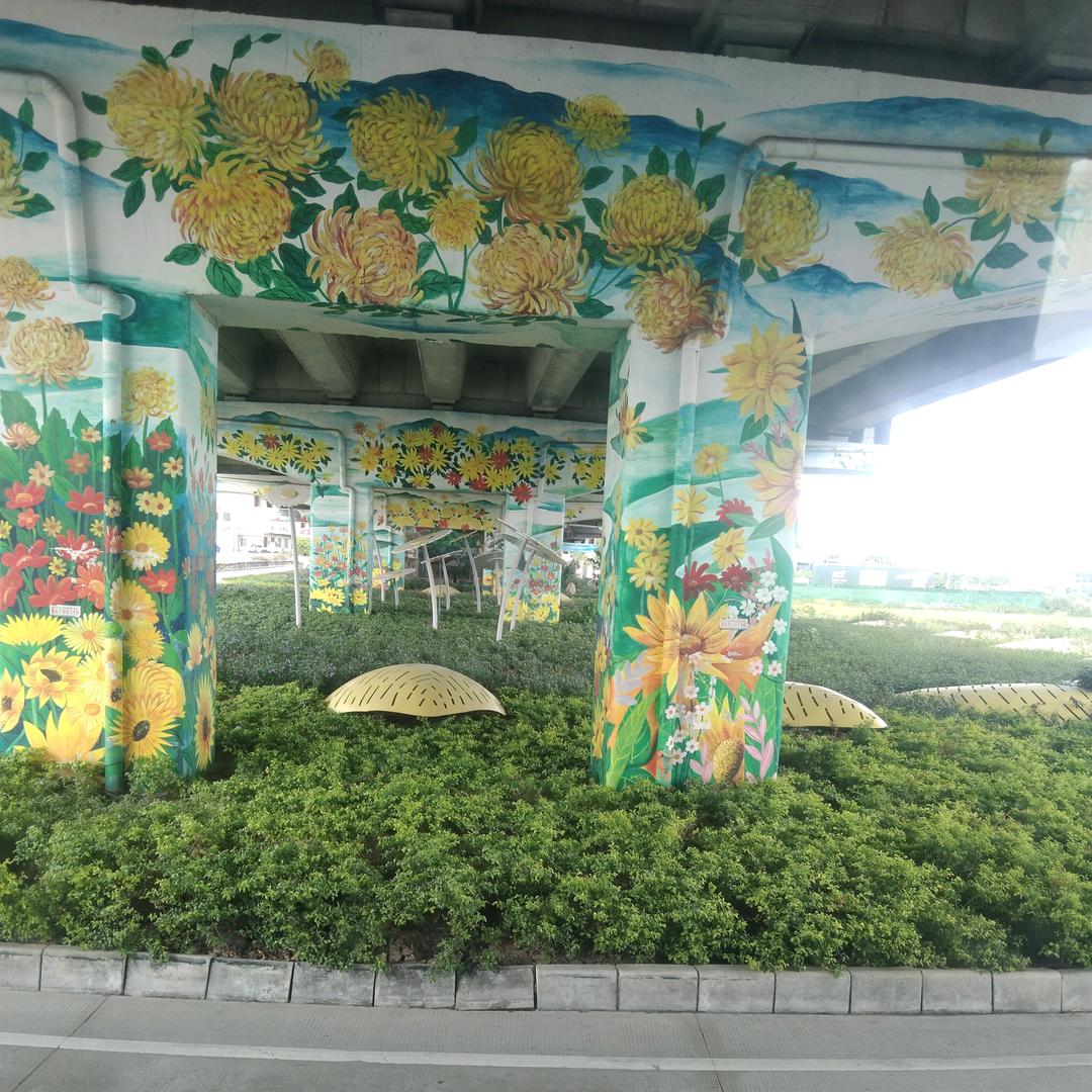 陈雨