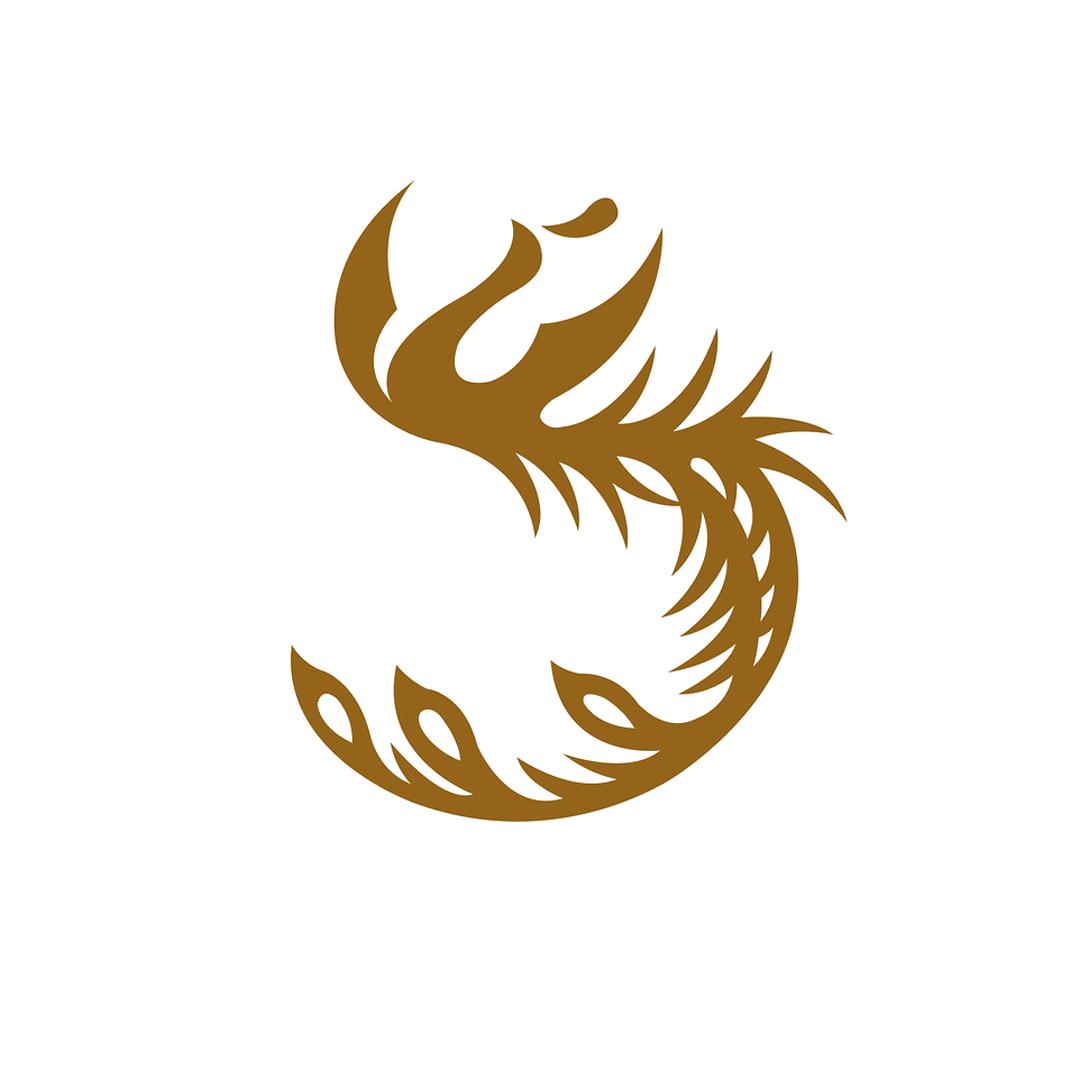 老凤祥万福直播