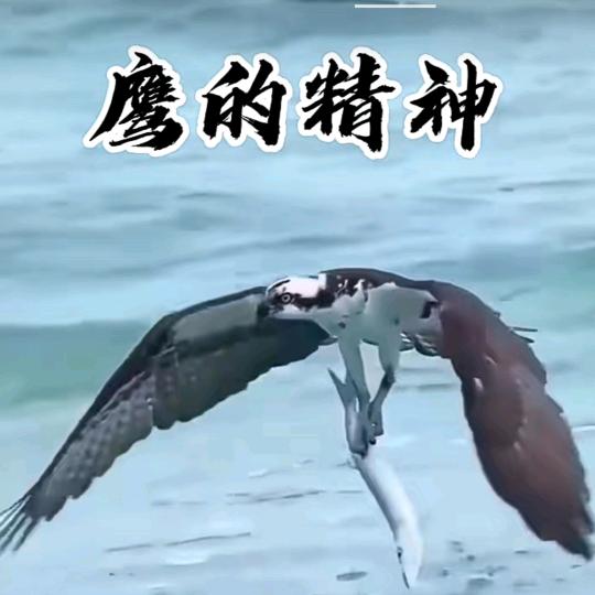 戒浮戒躁@