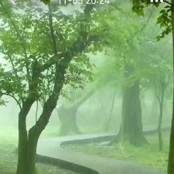 我是一棵无人问津的小草