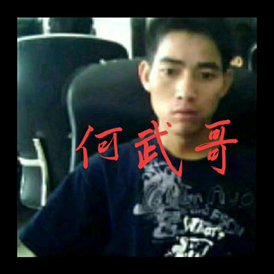 何武闪亮登场