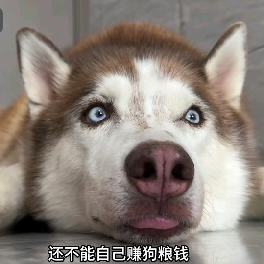 物理老师法师