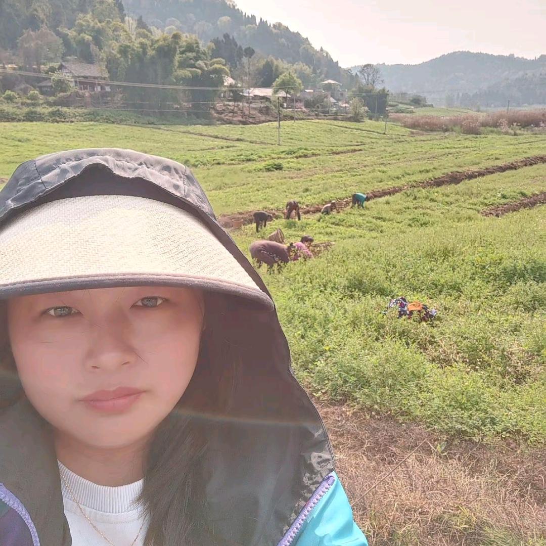 小新的美伢