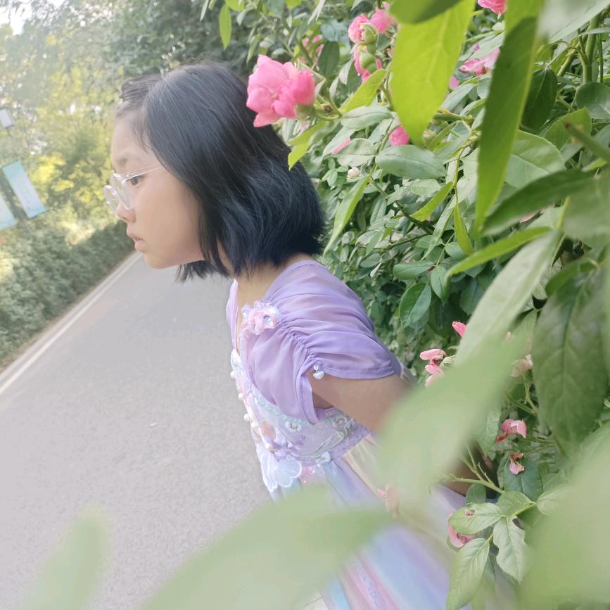 贝嘟