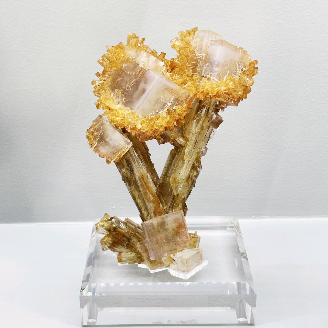 众星矿晶