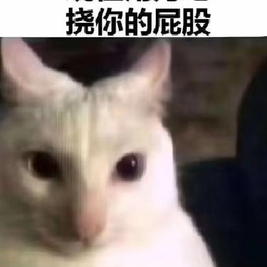 酷儿酷儿我们喜欢你