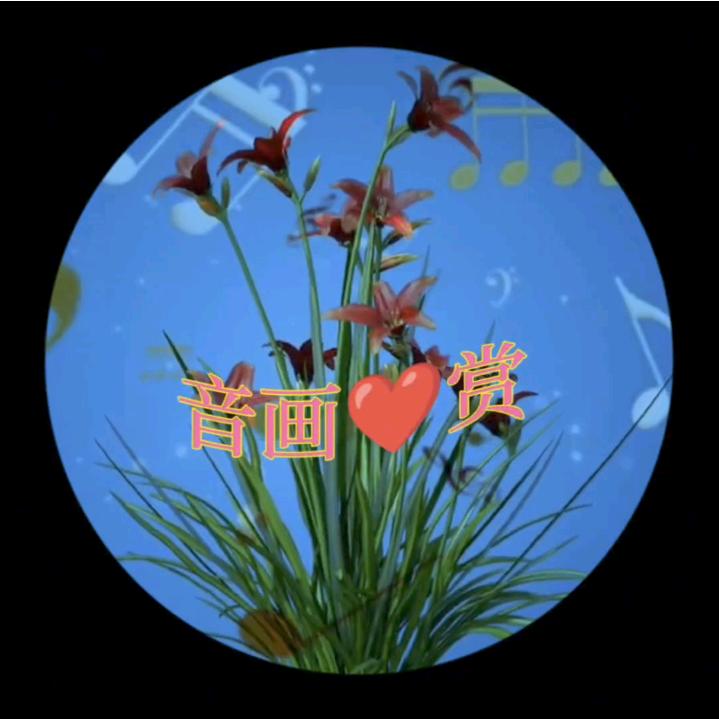 音画心赏