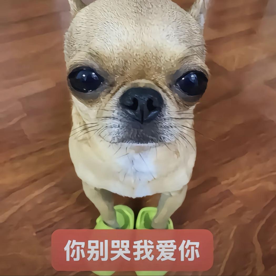 小丽（爱小罗）
