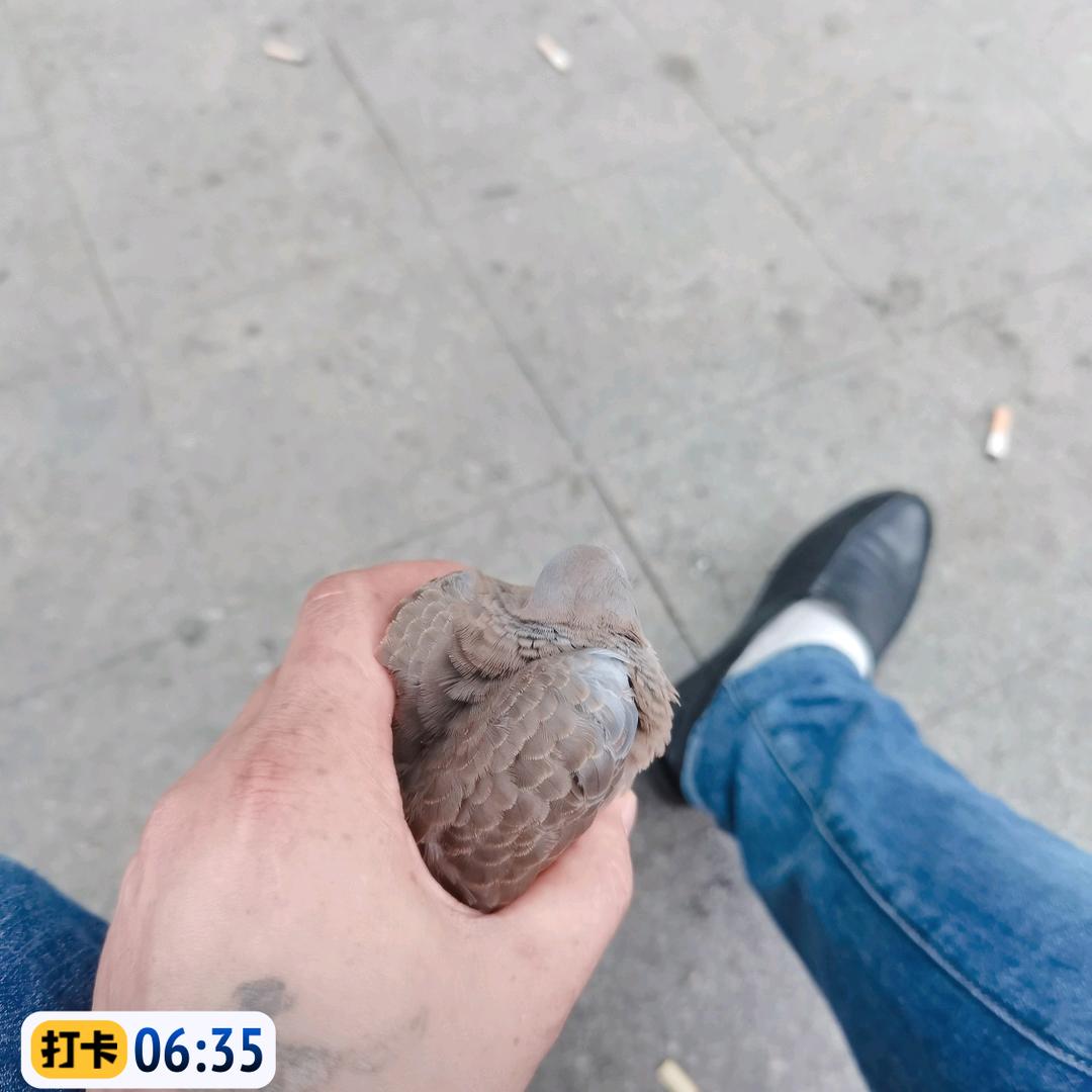 華仔！加油🤣