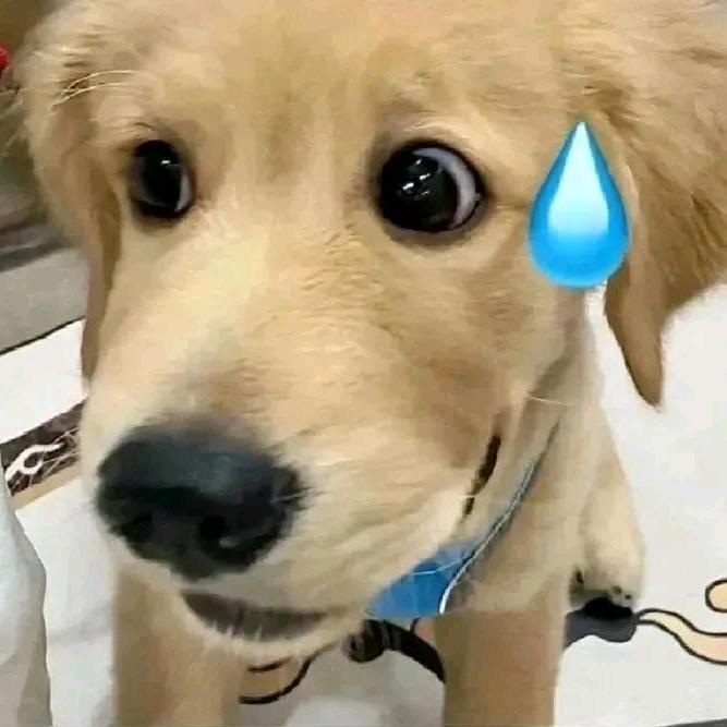 喜羊羊与灰太狼？