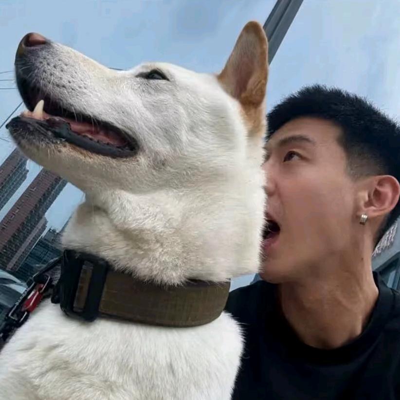 实现不是小说／