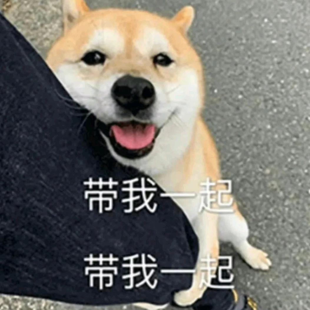 闪闪优选