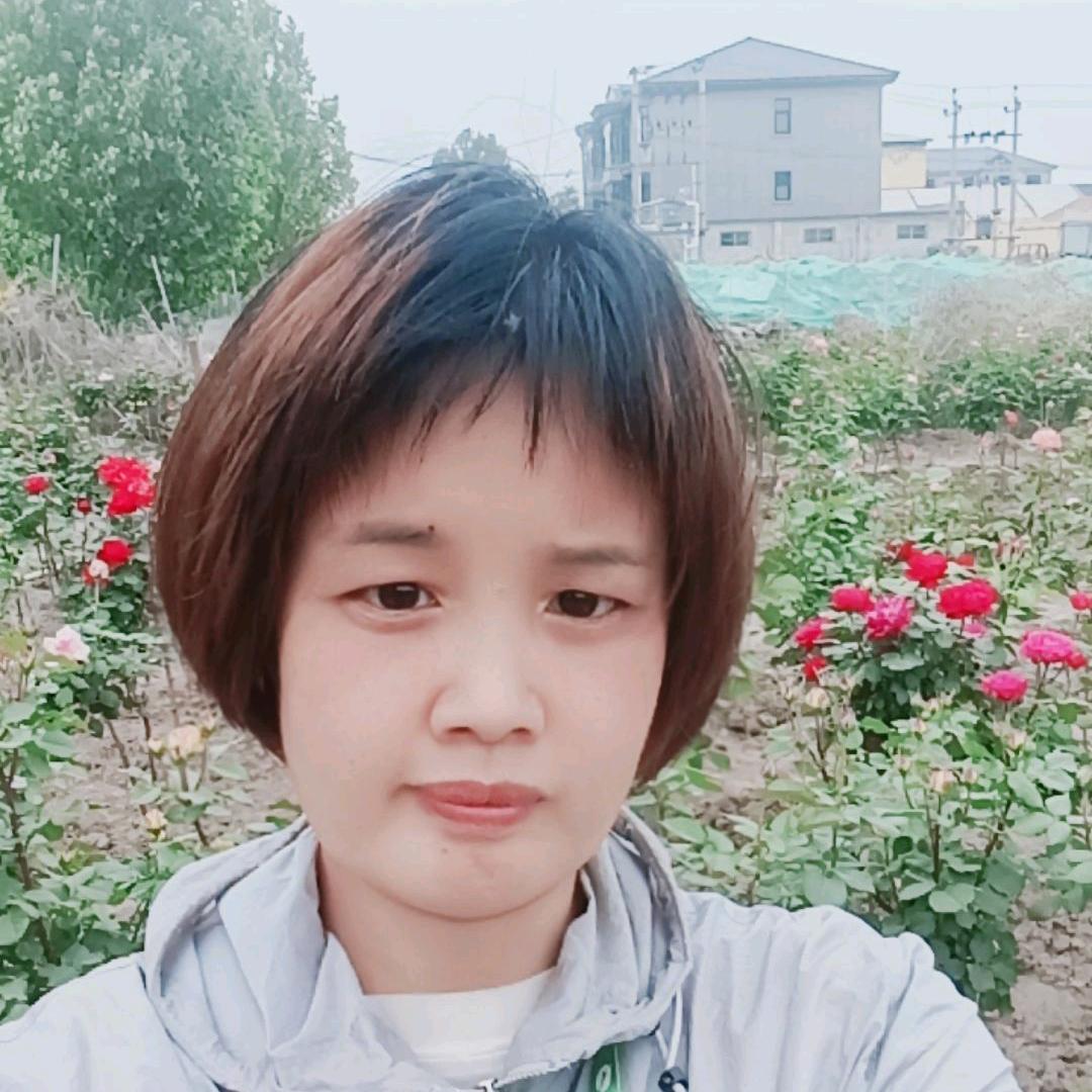 高阳县思宇苗圃