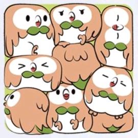 艾木木生存笔记