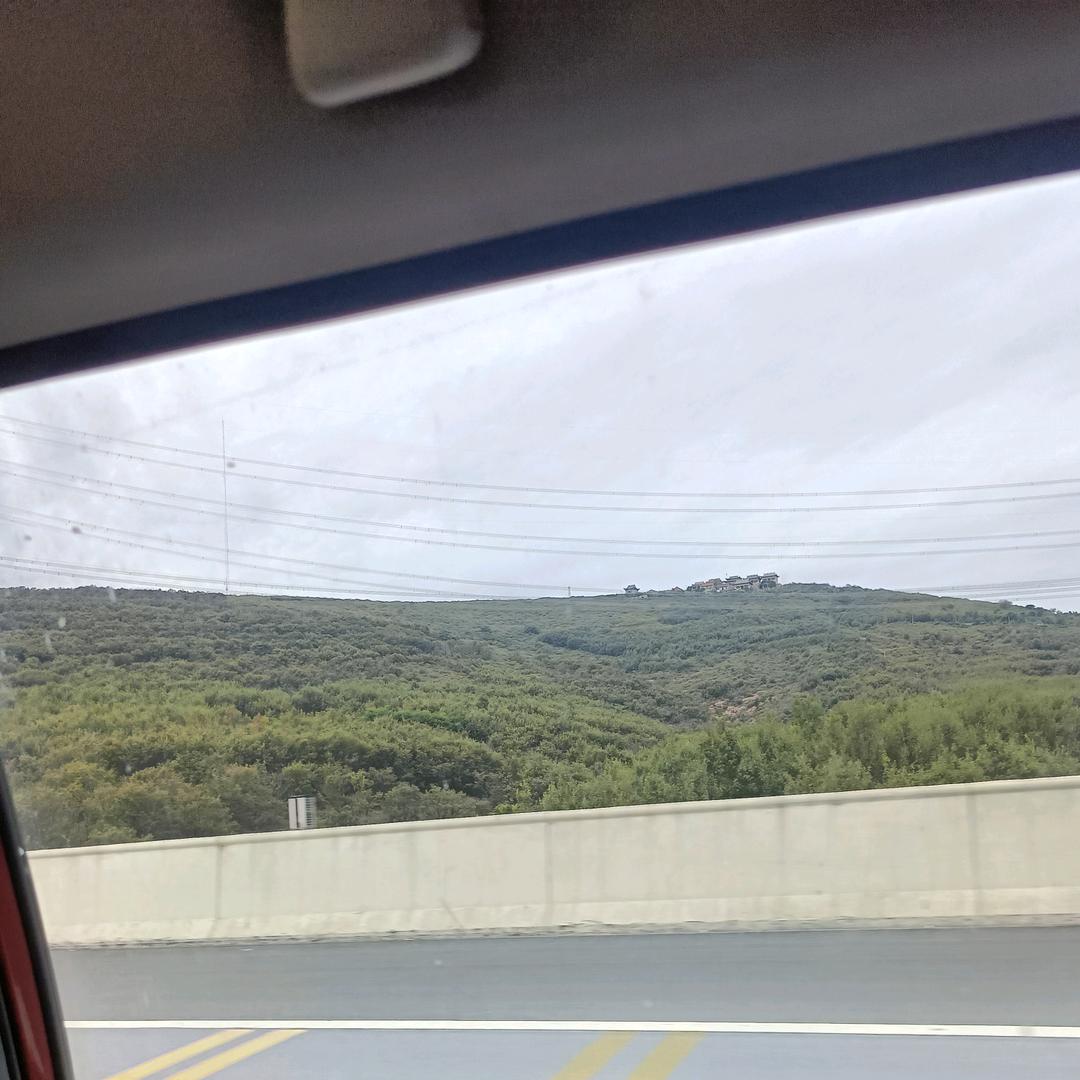 树木