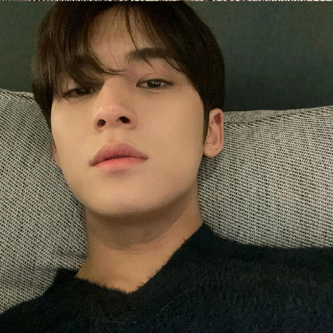 披着凉皮的羊🐑