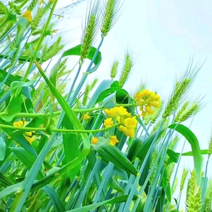 回心转意