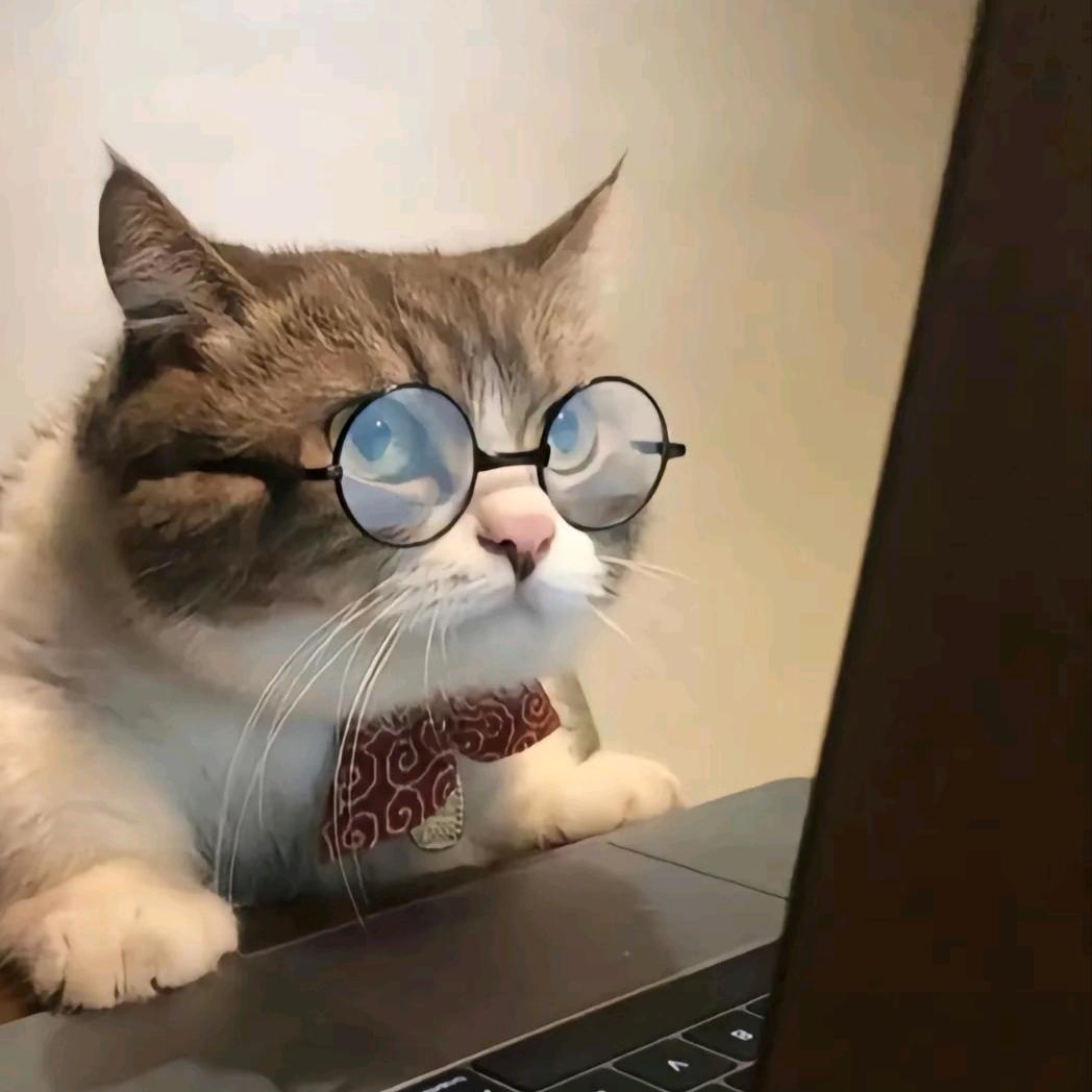 猫咪故事