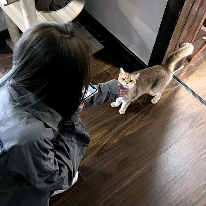 初遇---