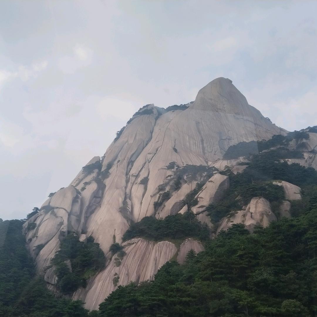 杨子装修大板贴砖