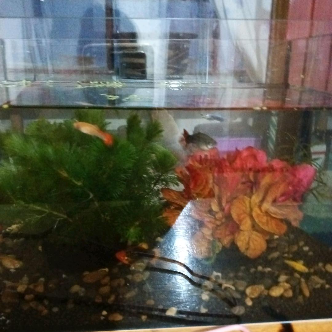 璀璨在心中