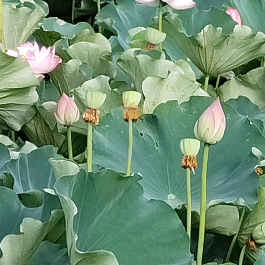 缘聚今生✨🍀
