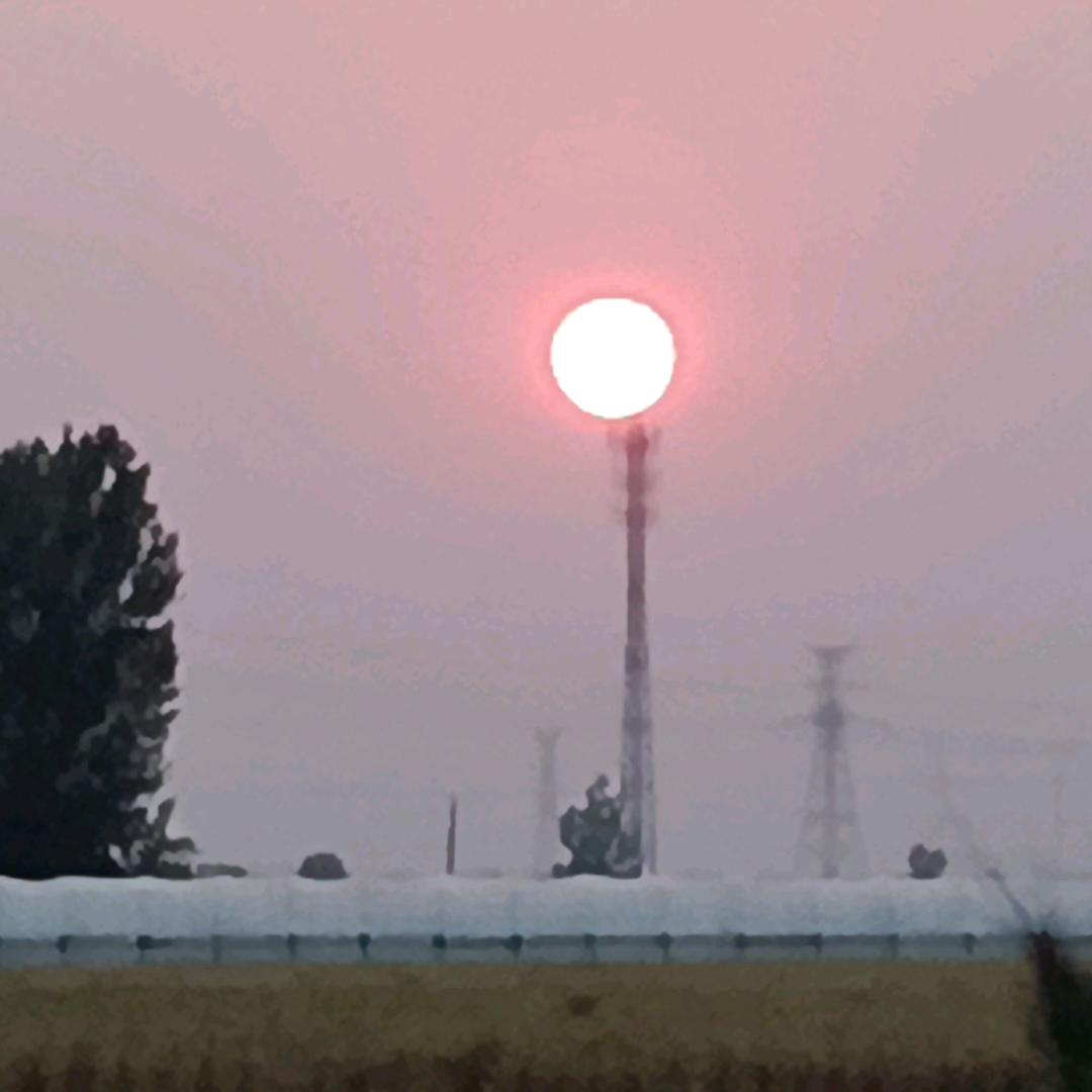 樱桃采摘园