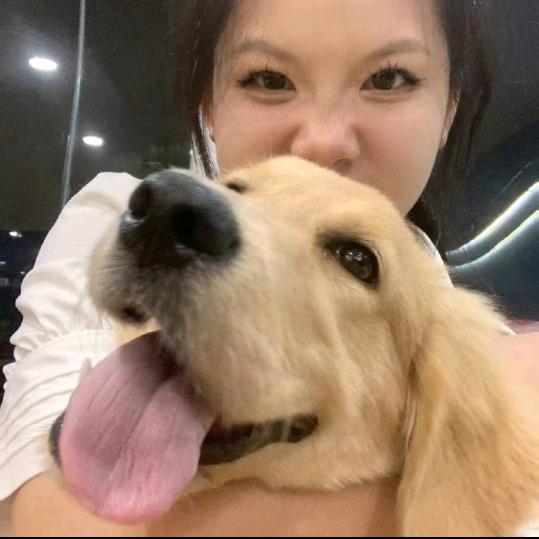 叮琳琳当