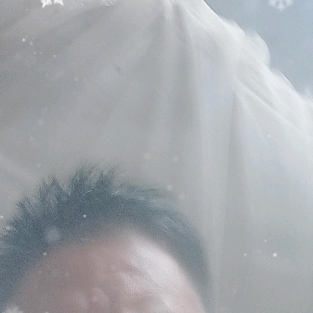 广西都安卢品东