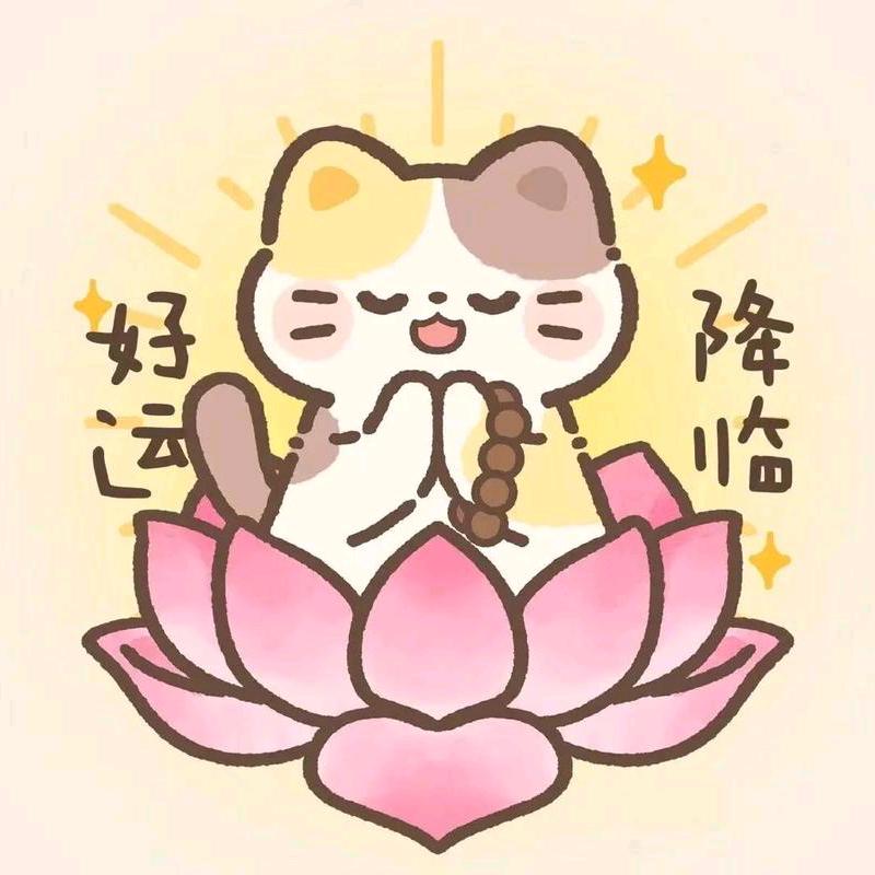 财运小喵