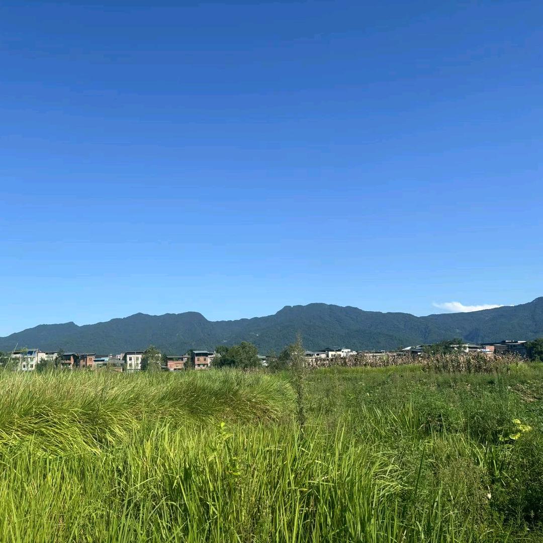 @兵歌🇨🇳