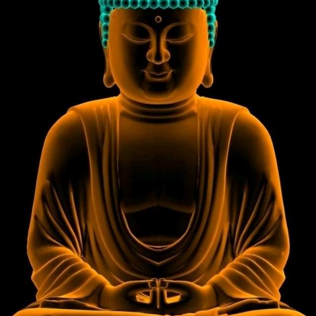 《丁掌柜饺子馆》告诉我你喜欢吃啥馅的饺子