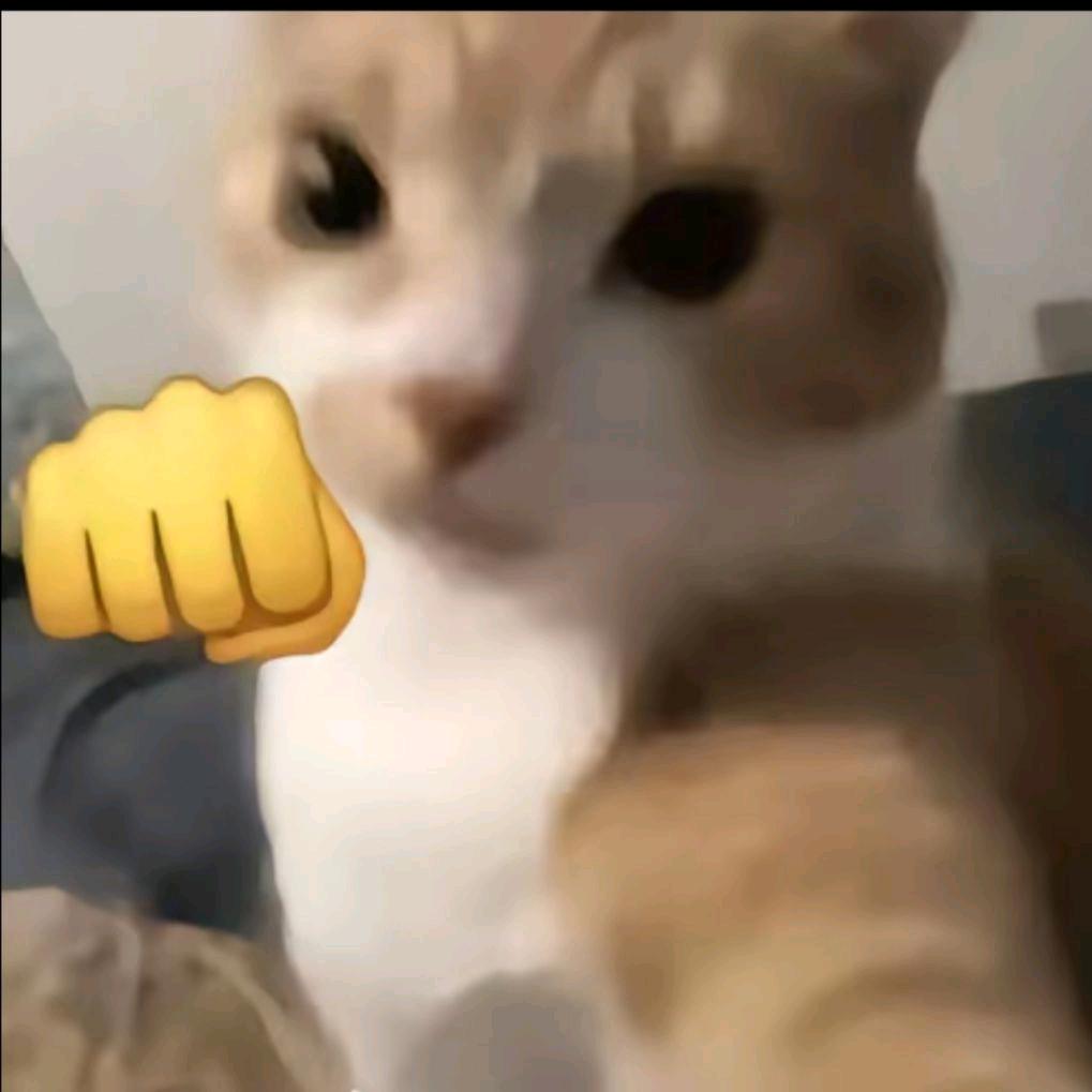 月半猫