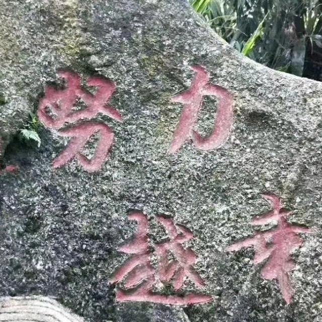 经典老歌☞青春回忆LY