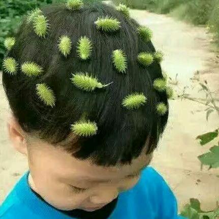 谁伴你闯荡🍃