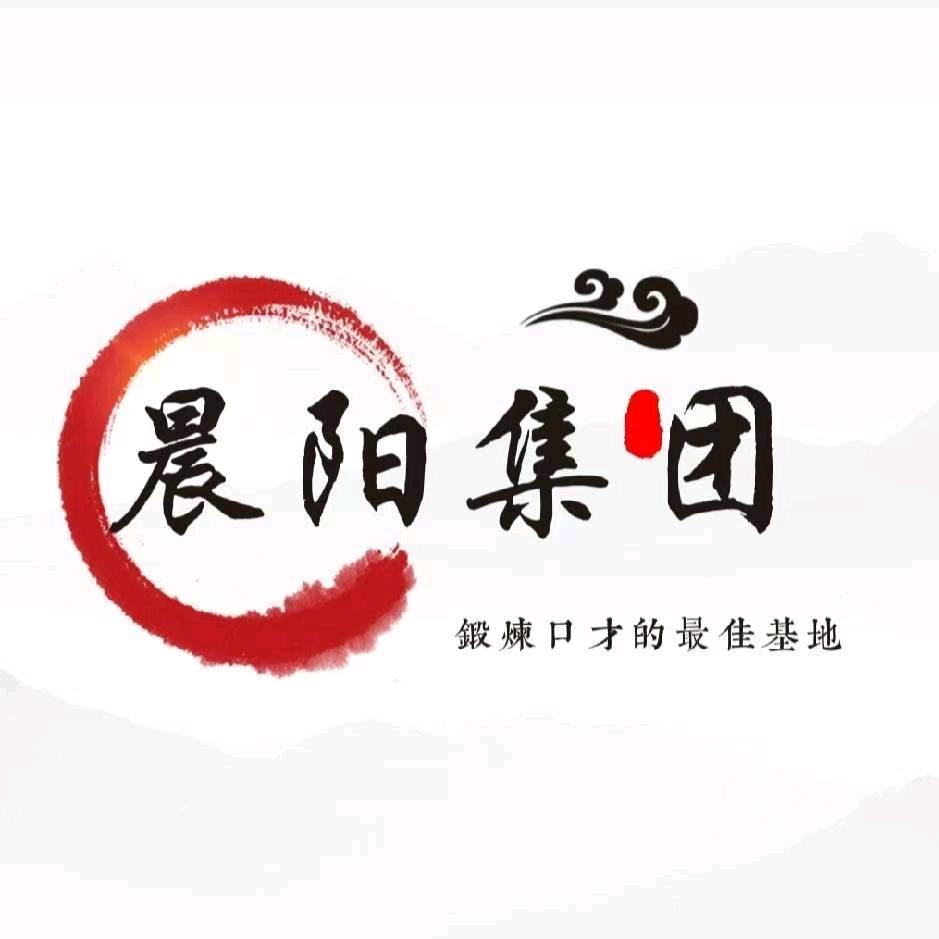 晨阳集团总经理