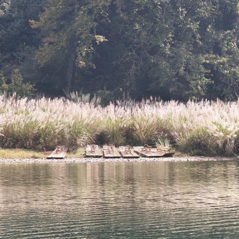 我爱你胜过你爱我