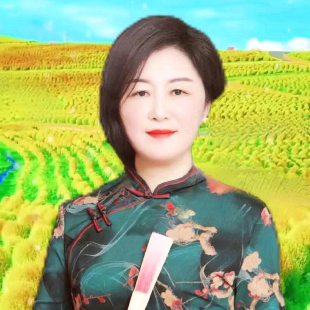 晨姐优选