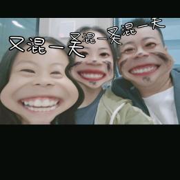 zmfly