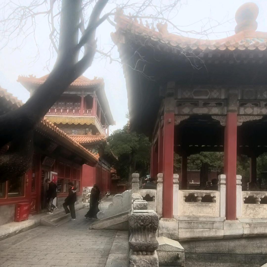 靳健康