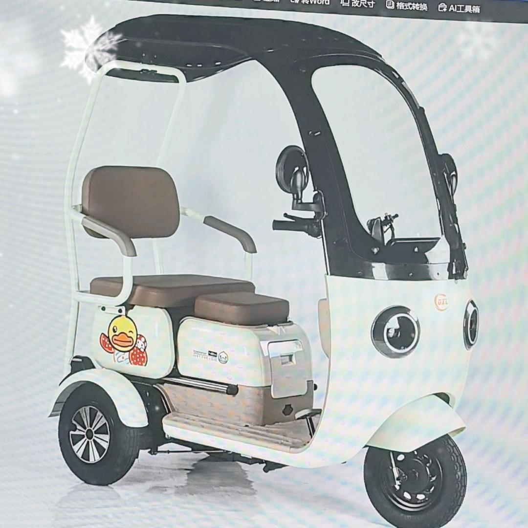 电动代步车源头工厂