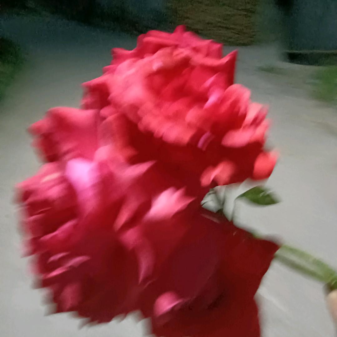 🍒别🍓碰🍓我🍇❤