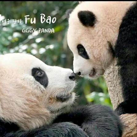 来小鱼妈妈