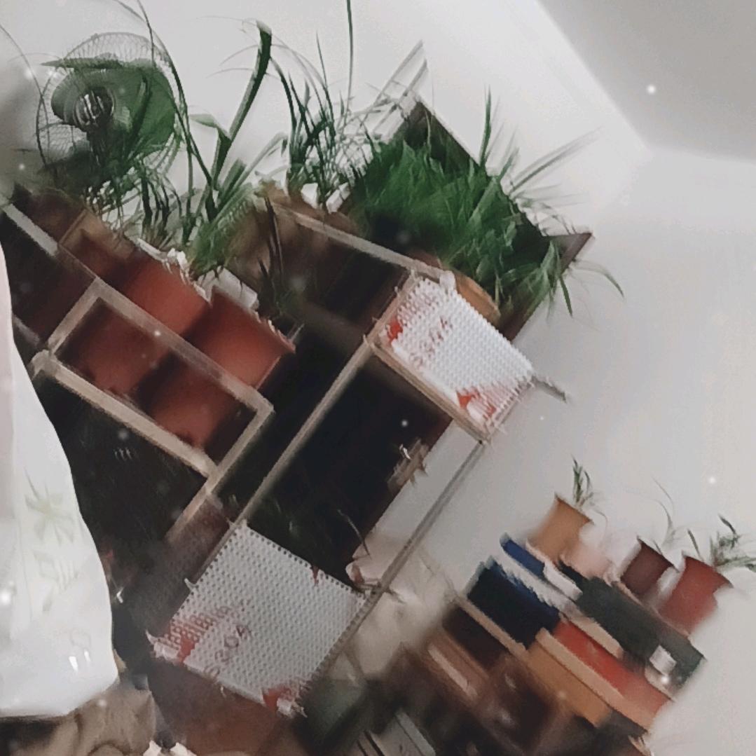 月亮以西