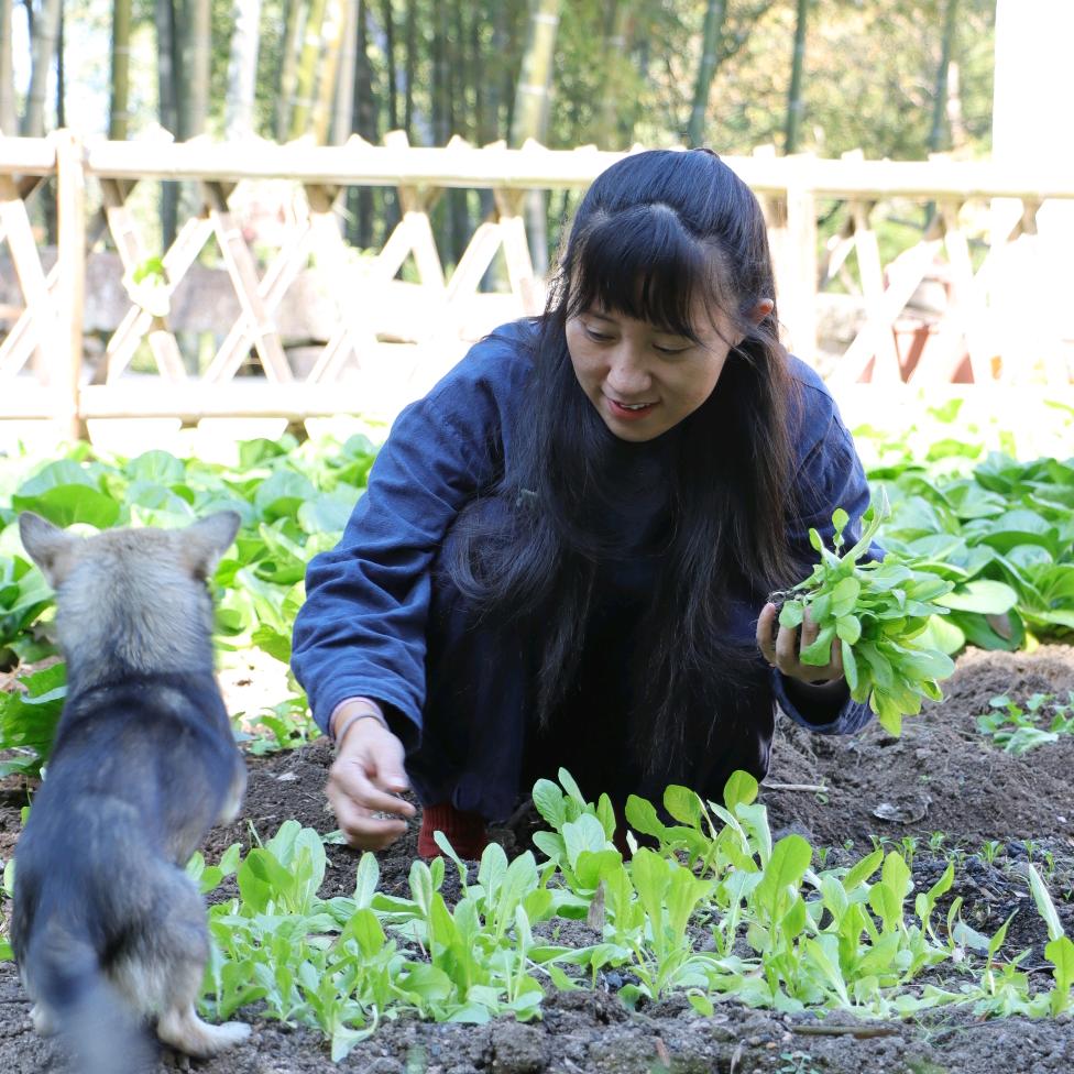 九华山糯米丽丽