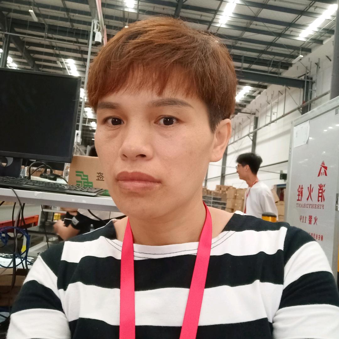小燕子